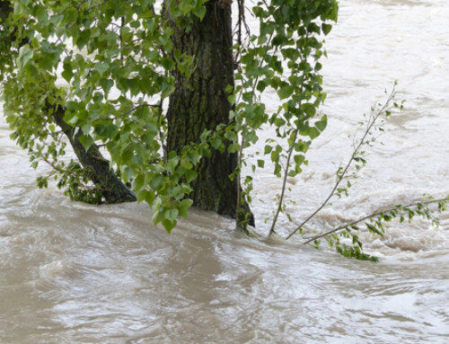 Relief Help for Texas Flood Victims