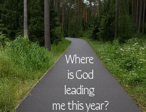 Reflect and Prepare for a New Year!