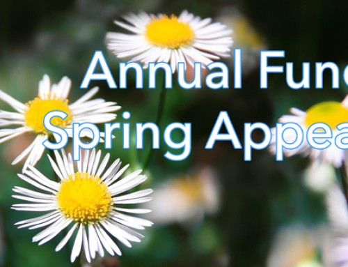 Annual Fund Gifts Support Our Ministry